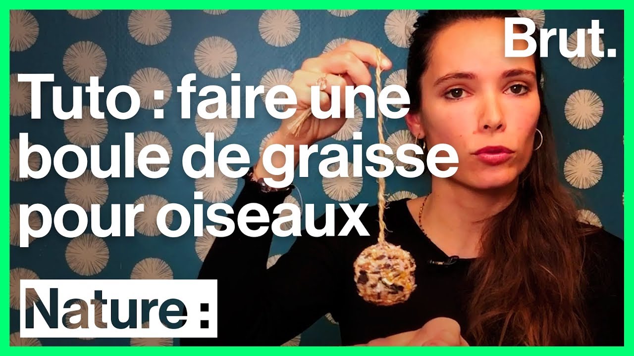 Tuto : comment faire une boule de graisse pour oiseaux ?