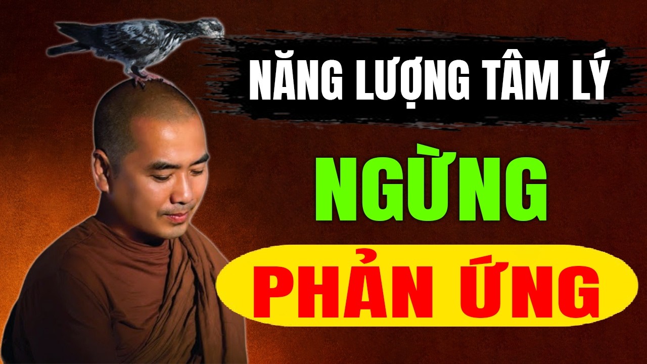 Khi bạn ngừng thể hiện cảm xúc, mọi thứ sẽ thay đổi |  Thầy Minh Niệm