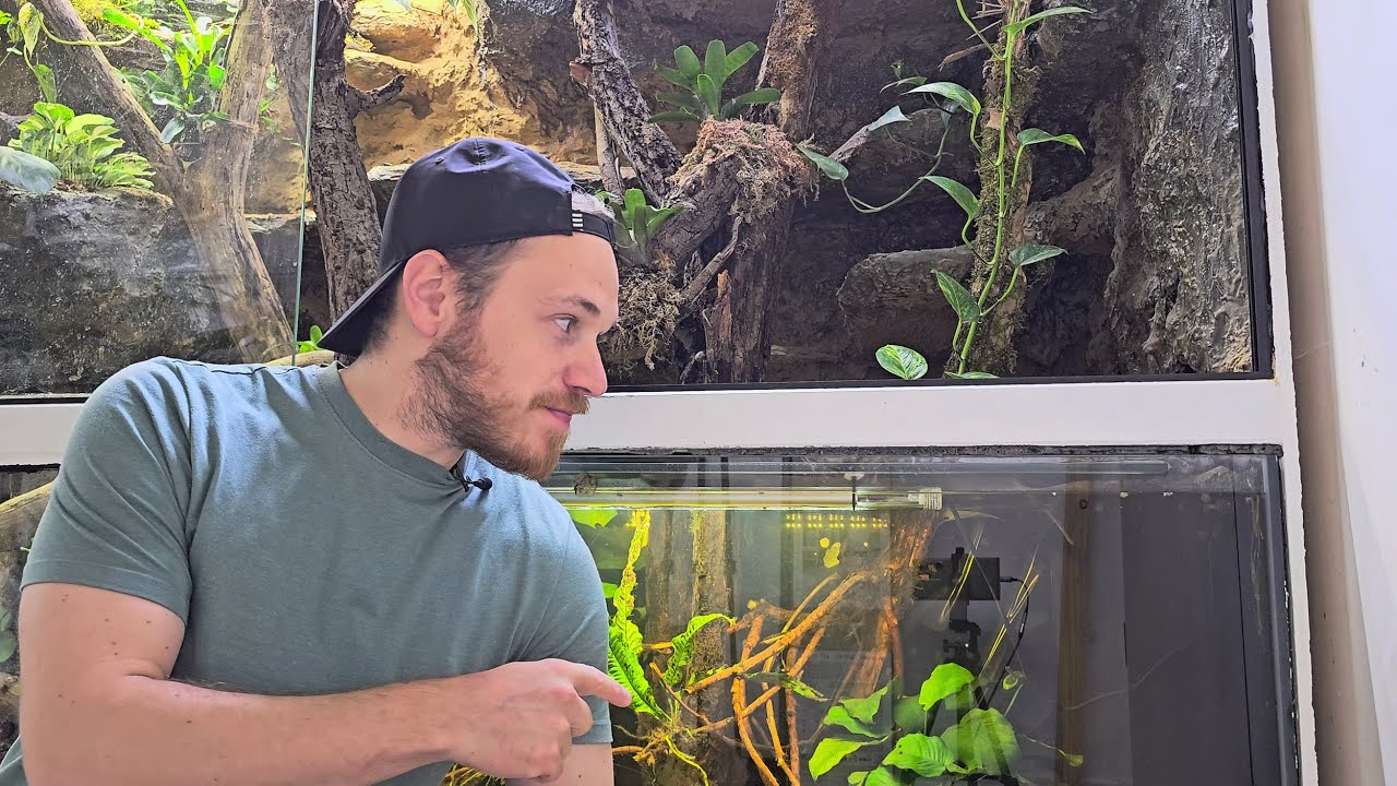 Das Aquarium im Terrarium 🐟🌿