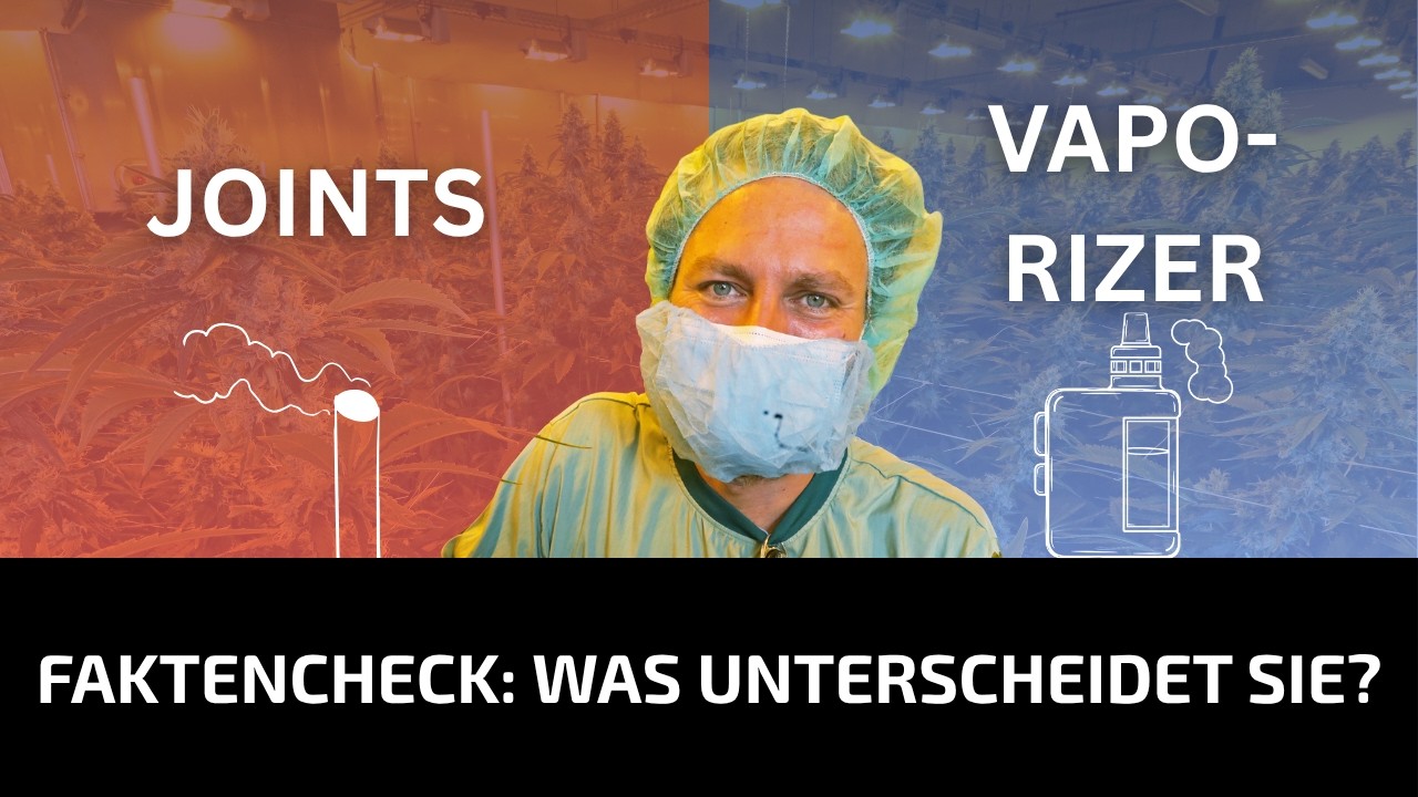Joint vs. Vaporizer: Rauchen wir alle falsch?