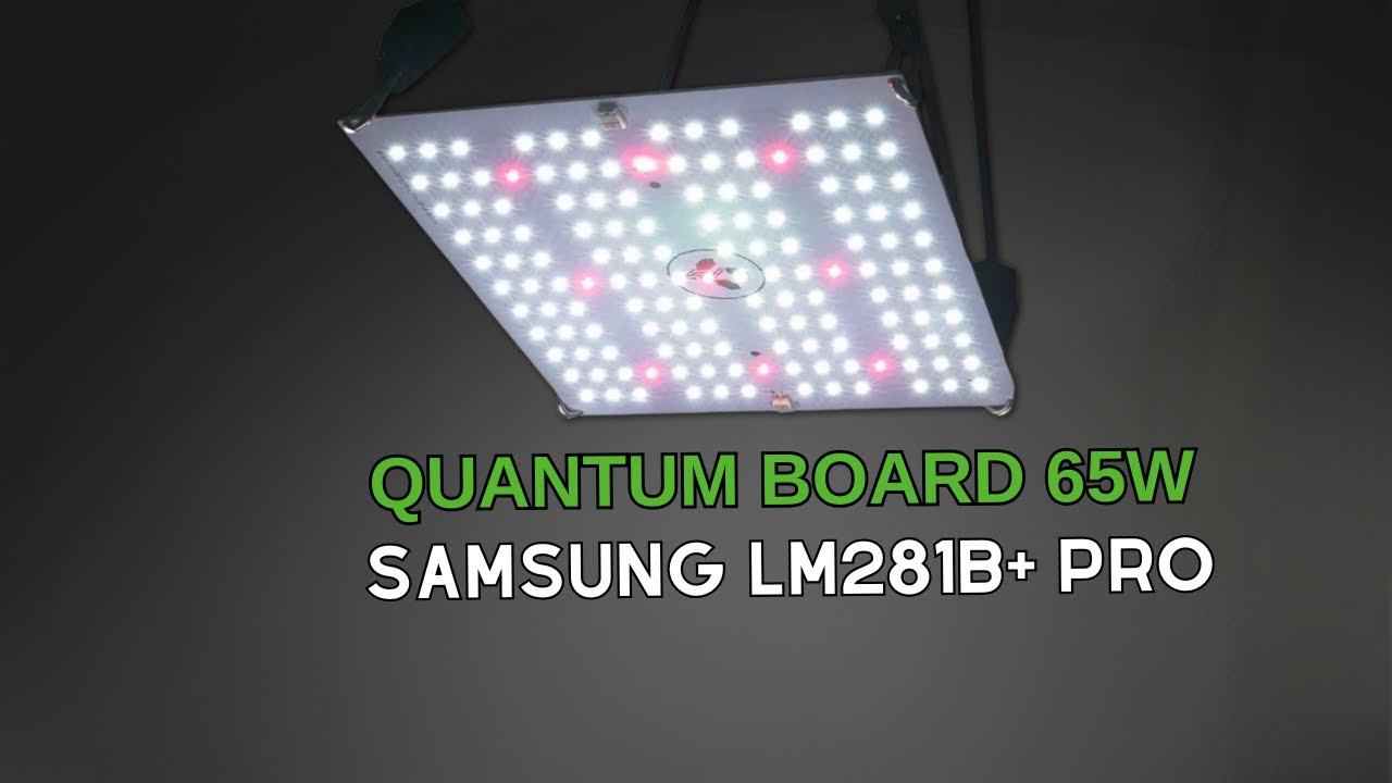 Unboxing: Quantum Board 65W com Chip Samsung LM281B+ Pro