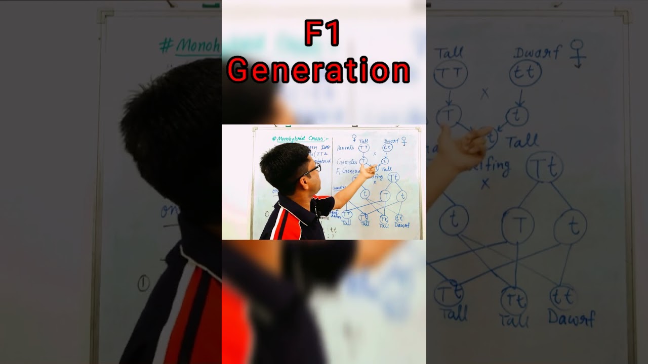 how can we gain F 1 generation | monohybrid cross
