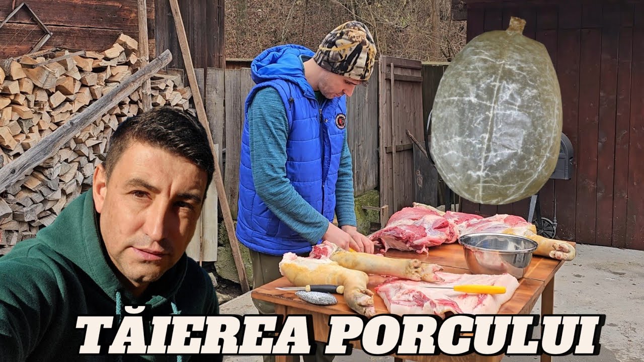 PORC DE 200 KG – TĂIEREA PORCULUI  IN APUSENI TRADITII DE CRACIUN