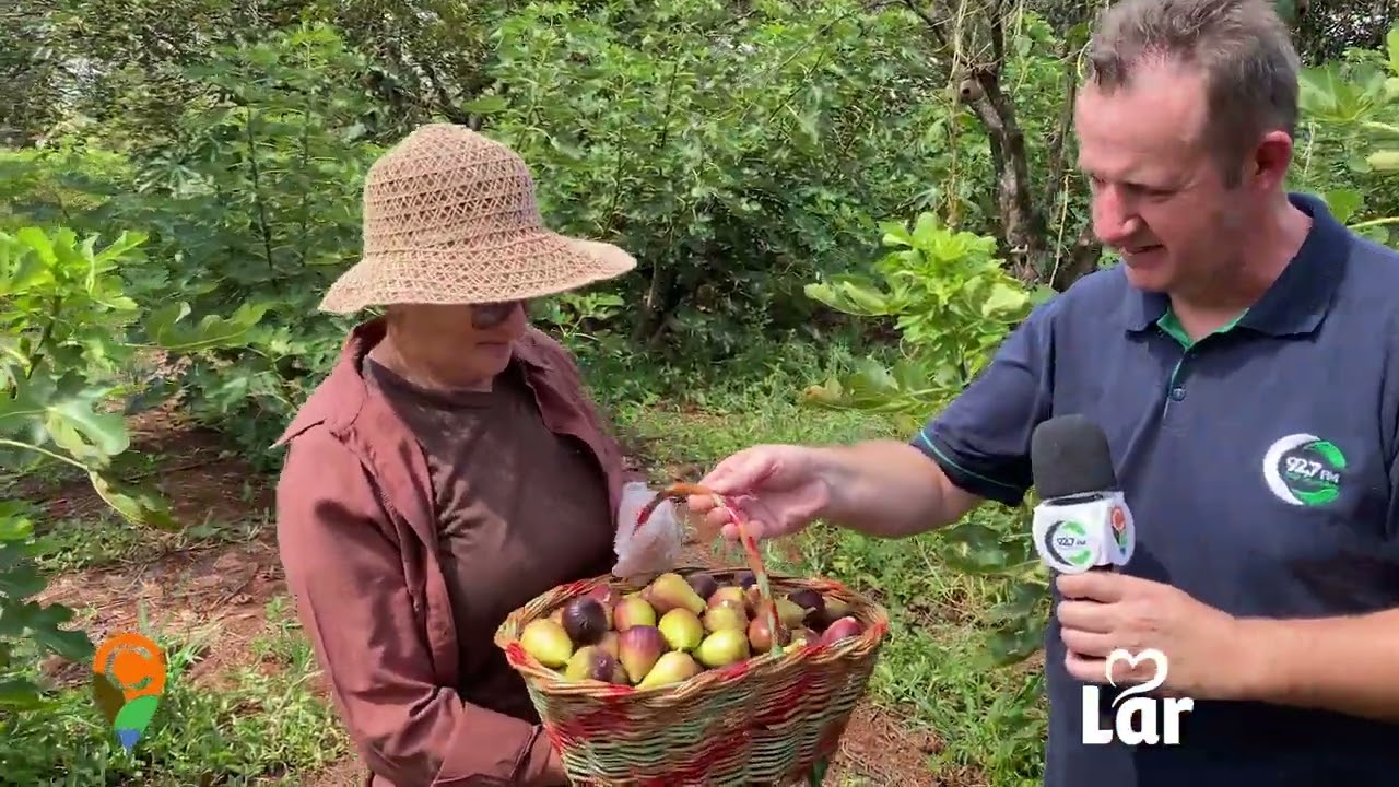 🌿🍈 Expedição Costa Oeste – Fábrica de Doces de Figo 🍯✨