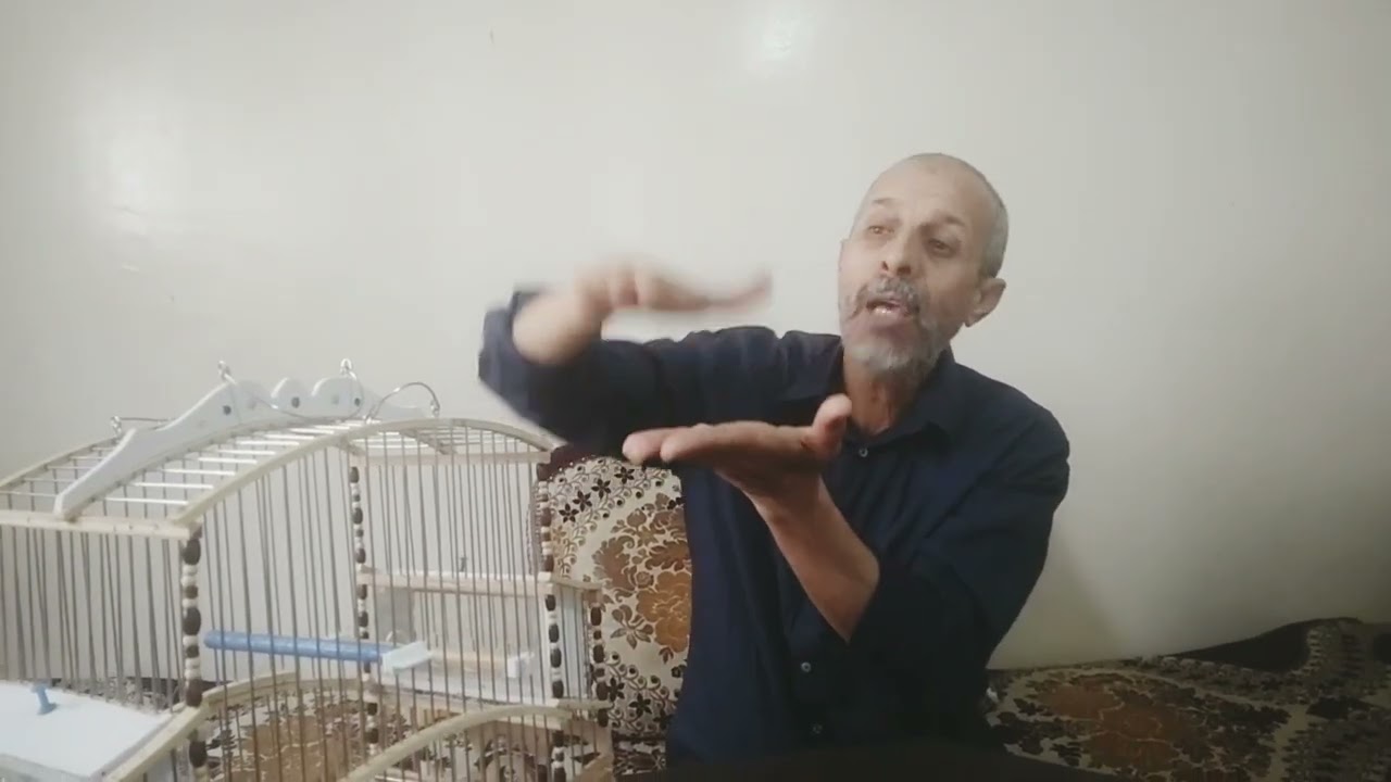 قفص شكل جديد  بسلك إينوكس وديكور جديد مع خاصية المعيلفة خارج القفص وطير ياكل كن داخل.