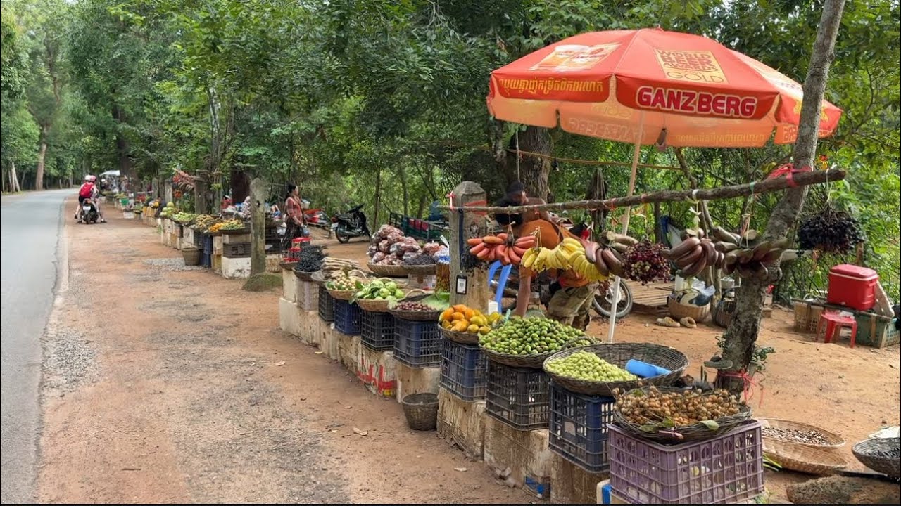 Wild Fruits Sell at Angkor Wat Area in Siem Reap Province, Cambodia