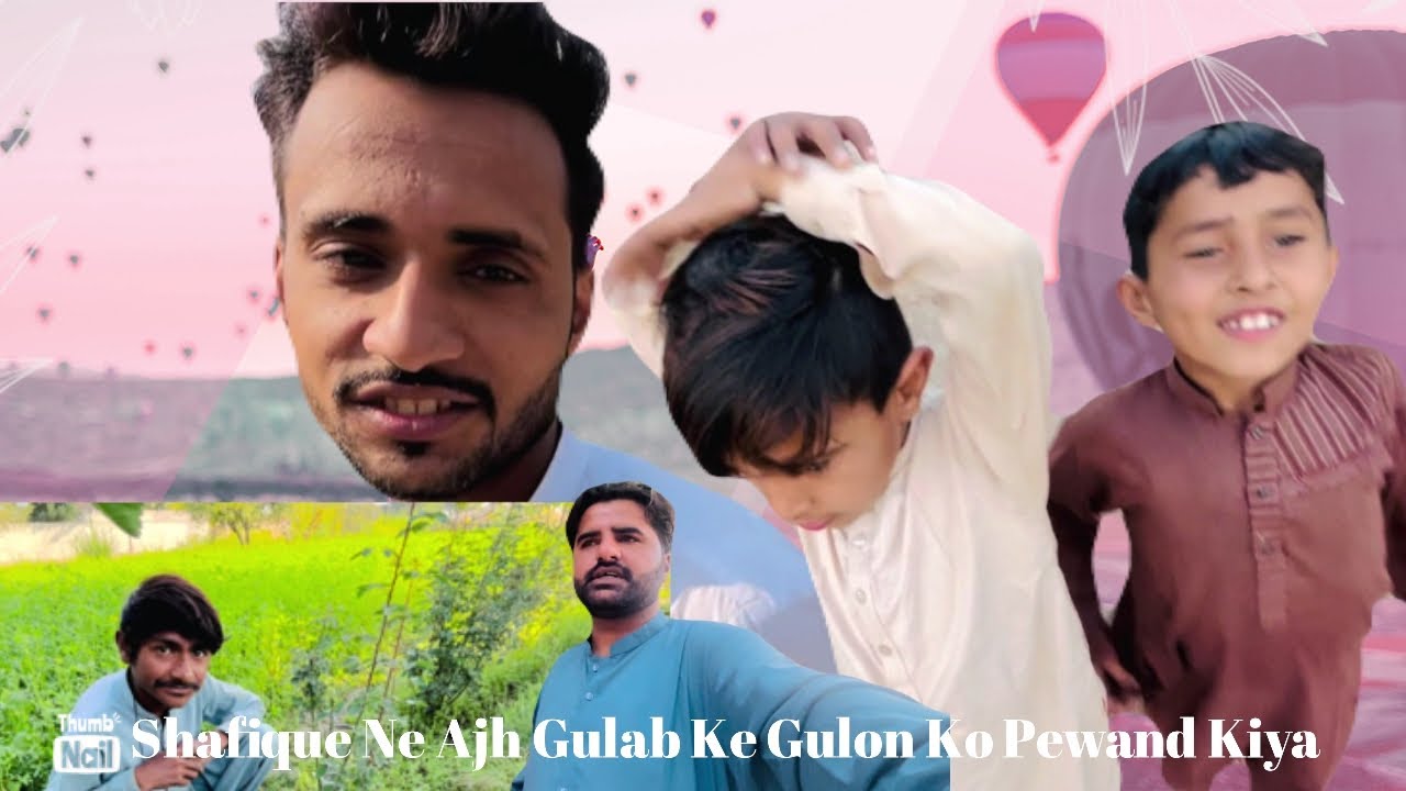 Desi vlog | Shafique ne ajh Gulab ke gulon ko pewand kiya 