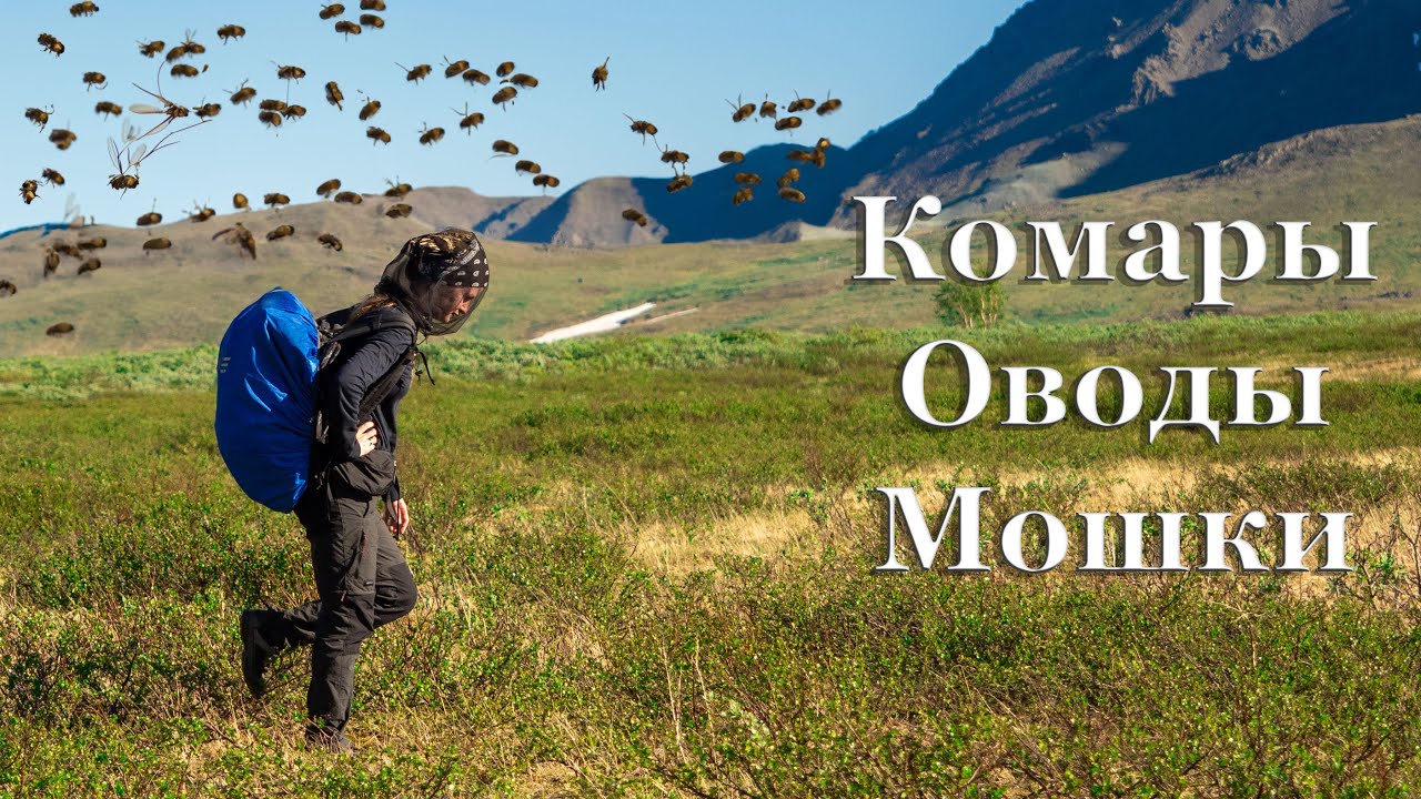 Поехали кормить комаров и мошек. Полярный Урал на мотоцикле