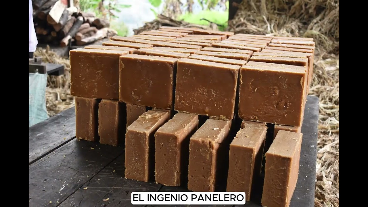 LA SALINA CASANARE - VEN, CONÓCE Y ENAMÓRATE DE NUESTRA TIERRA