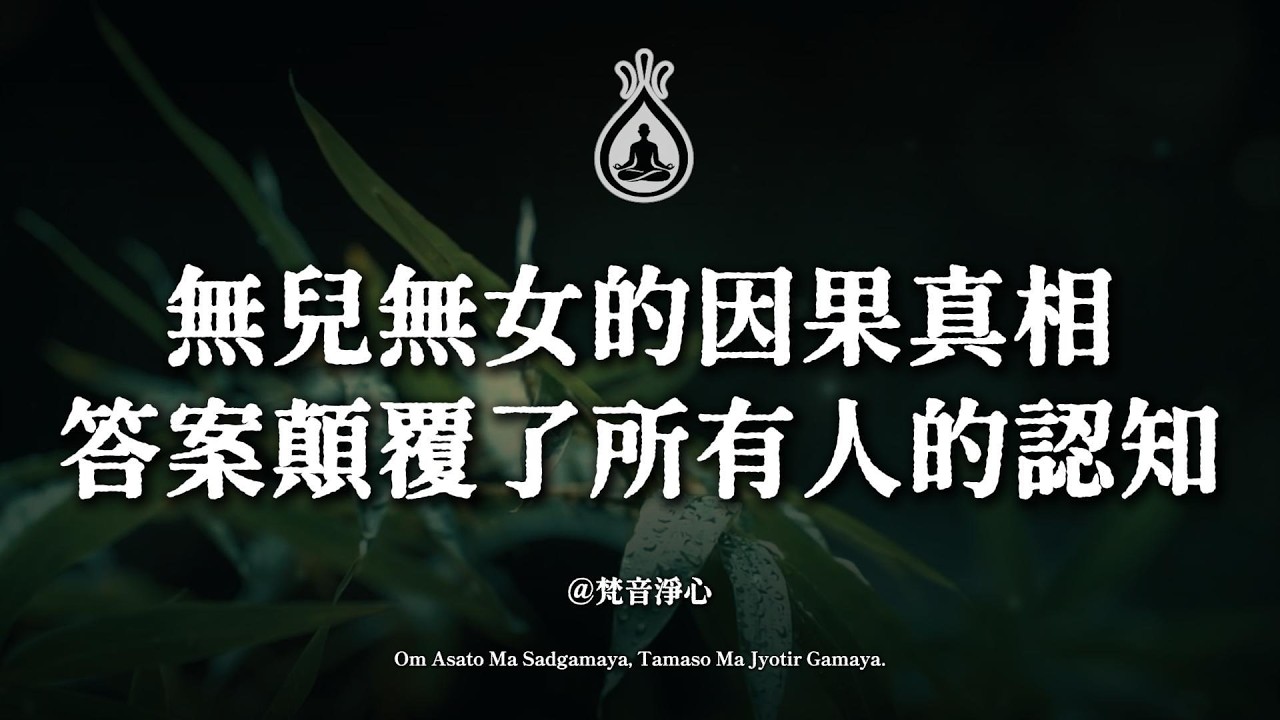 沒有孩子的人,晚年到底靠什麼？答案顛覆了所有人的認知#無兒無女的因果 #清淨是福 #佛學智慧 #因果業力 #福報 #修行 #心靈成長 #本自具足 #獨處的力量 #圓滿人生 #放下執著