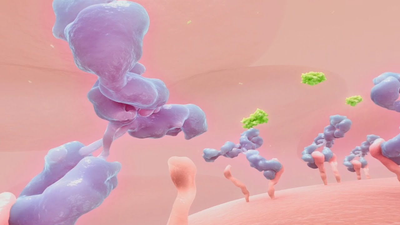 A virtual view of psoriasis | #PsoriasisAnimation #Psoriasis #PsoriasisAwareness #360Animation
