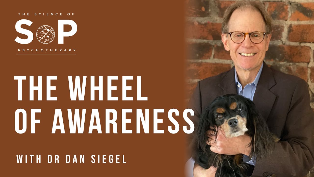 Dan Siegel and the Wheel of Awareness