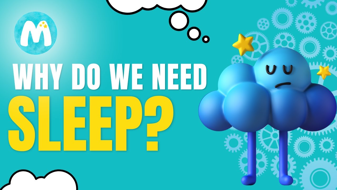 Why is Sleep Important? | The Importance of Sleep for Children 