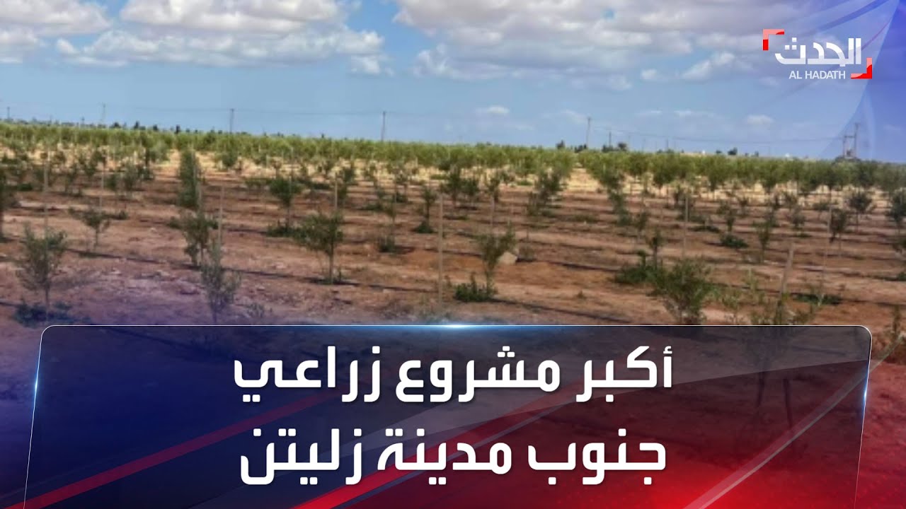 أكبر مشروع زراعي جنوب مدينة زليتن