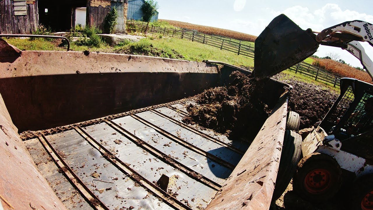 Barnyard Cleanup - Spreading Manure