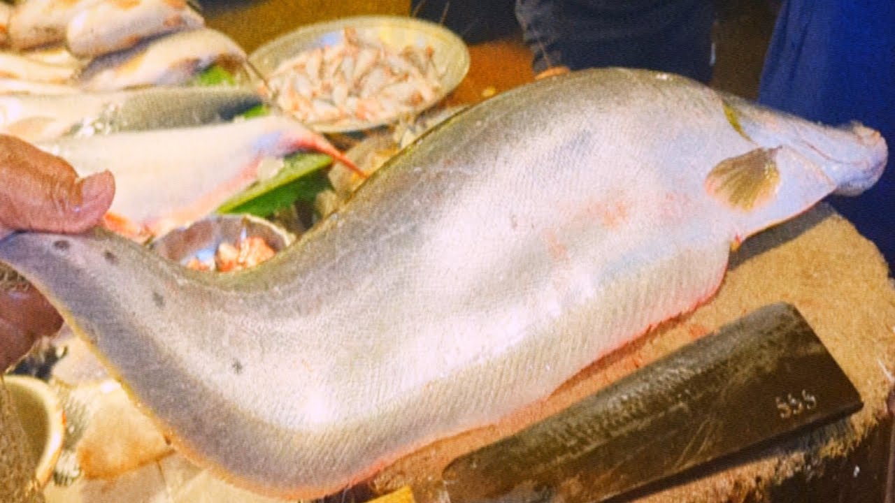 Amazing Clown Knife Fish Cutting By Professional Fish Cutter | Fish Cutting Skills