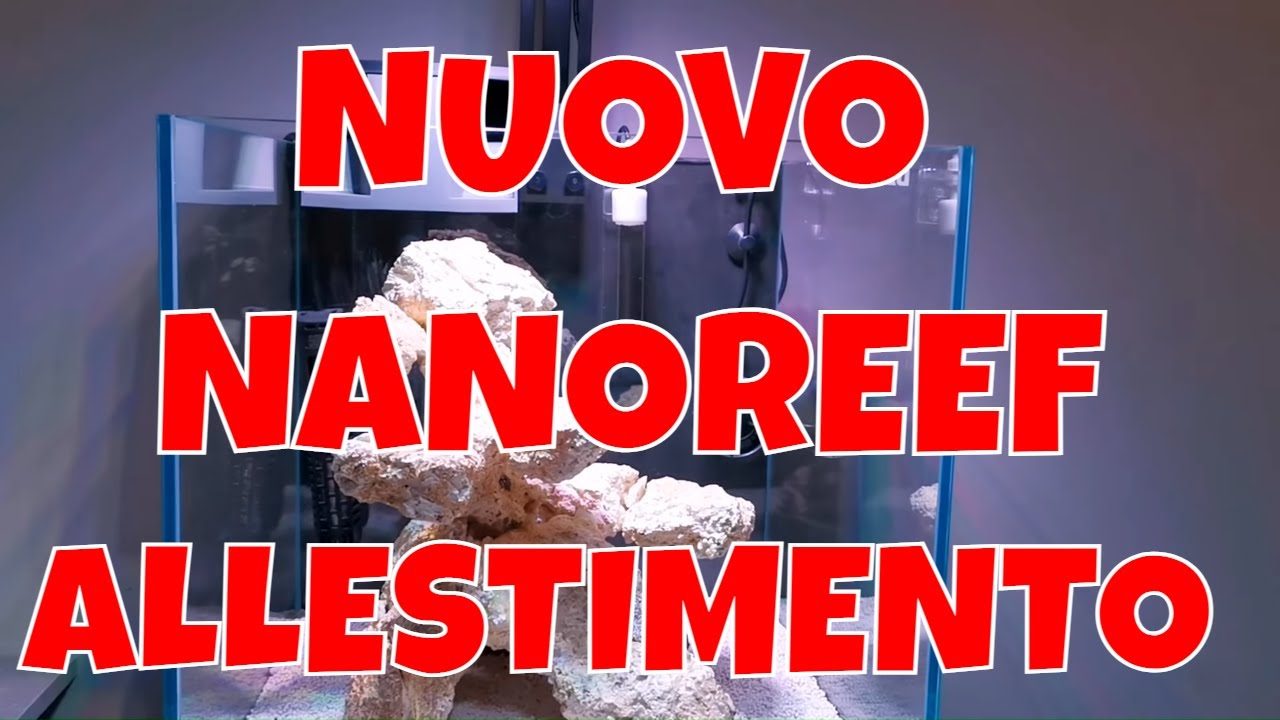 Allestimento NANO REEF - NUOVO ACQUARIO MARINO