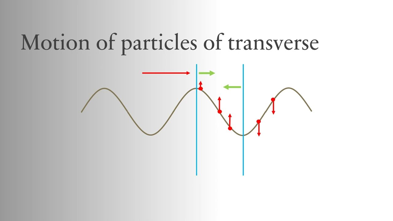 Understanding the motion of particles in waves