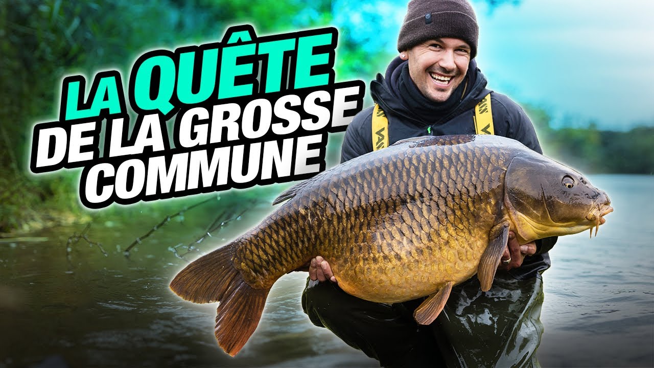 KORDA CARP FISHING FILM: La quête de la grosse commune (Pierre Meyer)