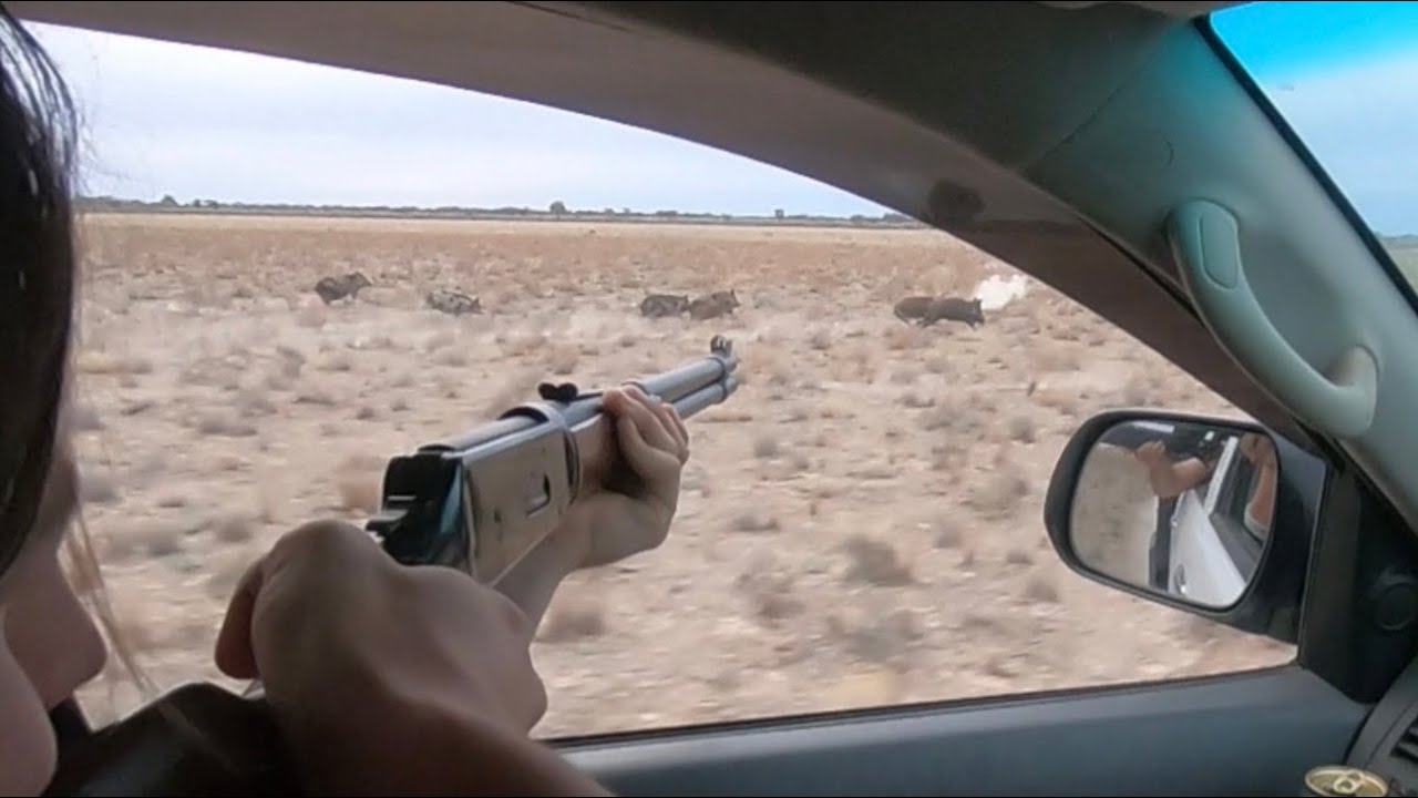 Pig Hunting Western NSW Winchester  30-30