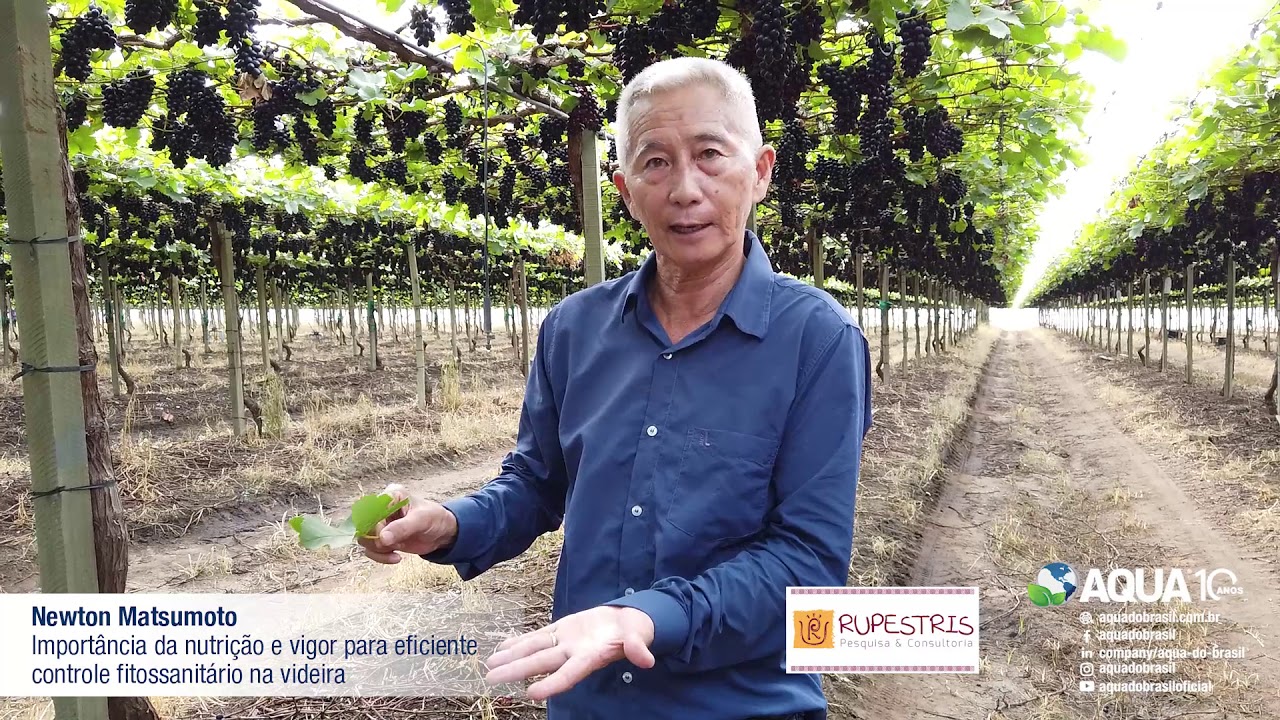 ※ AQUA DO BRASIL ※ 🎥 Dr Aqua Apresenta: Newton Matsumoto