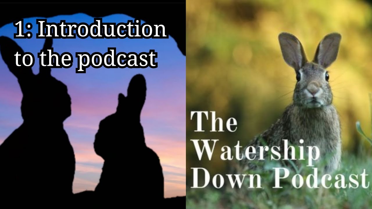 1: Introduction to the Podcast