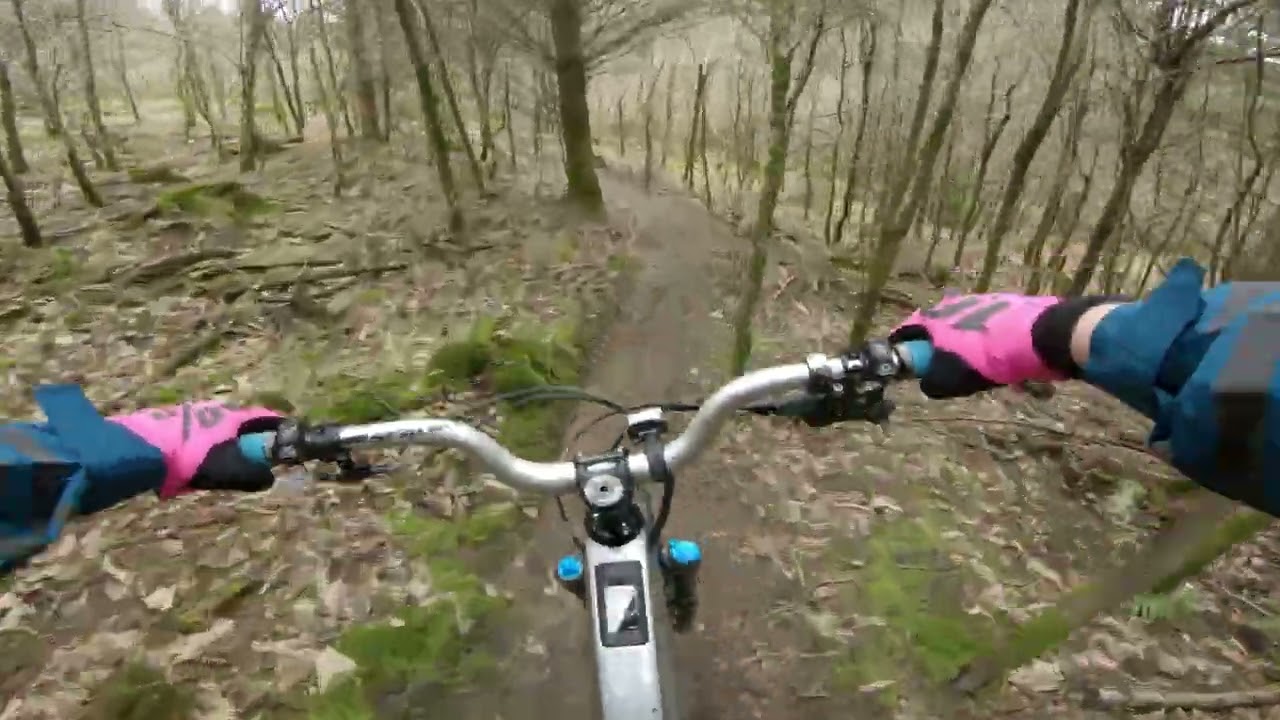 Forest of Dean off Peace Trails