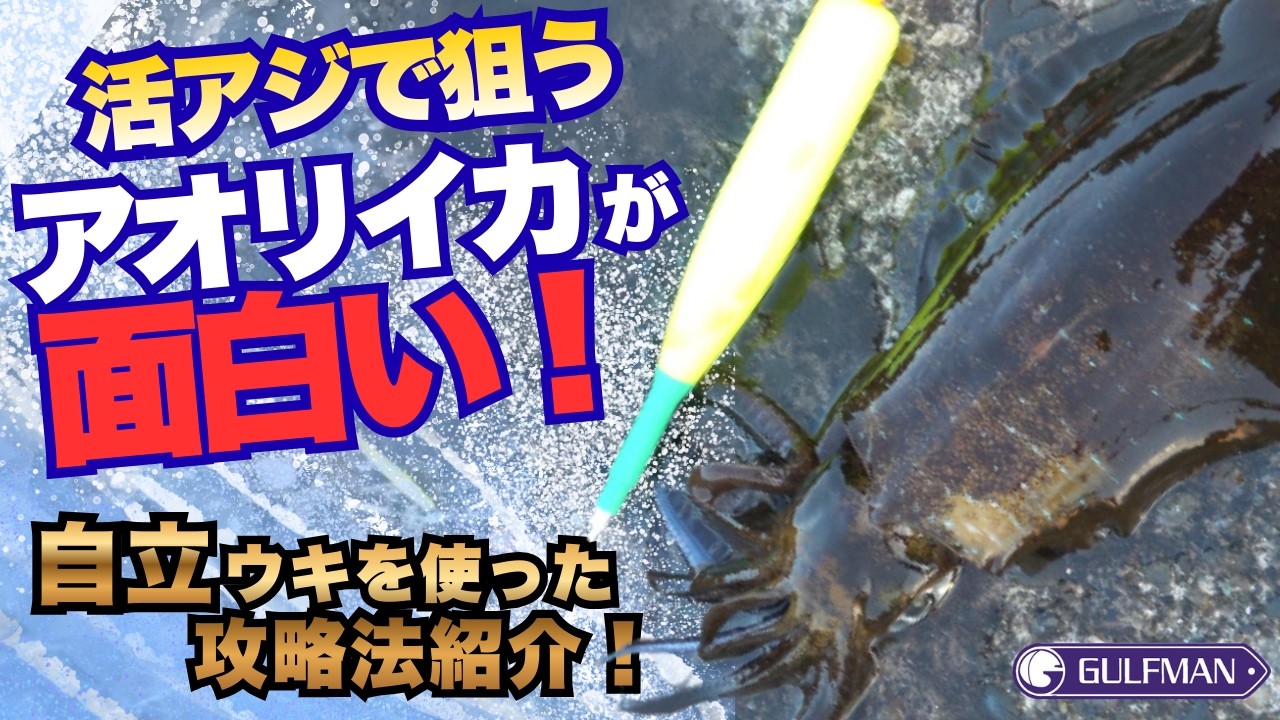 【攻略・解説】泳がせ釣りには自立ウキを使おう！アポロ自立ウキを用いた活アジ泳がせで狙うアオリイカ #アオリイカ #泳がせ釣り#自立ウキ