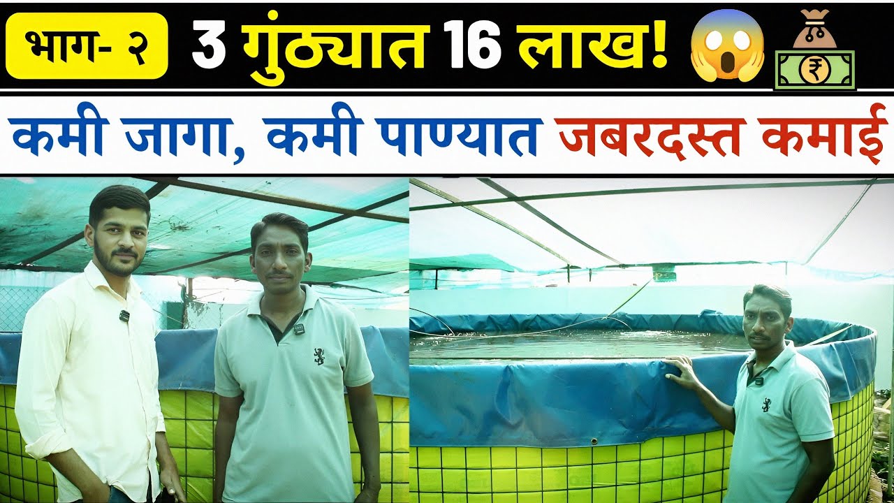 3 गुंठ्यात 16 लाख! 😱 | Biofloc Fish Farming 🐟 | कमी जागा, कमी पाण्यात जबरदस्त कमाई 💰 | भाग- २