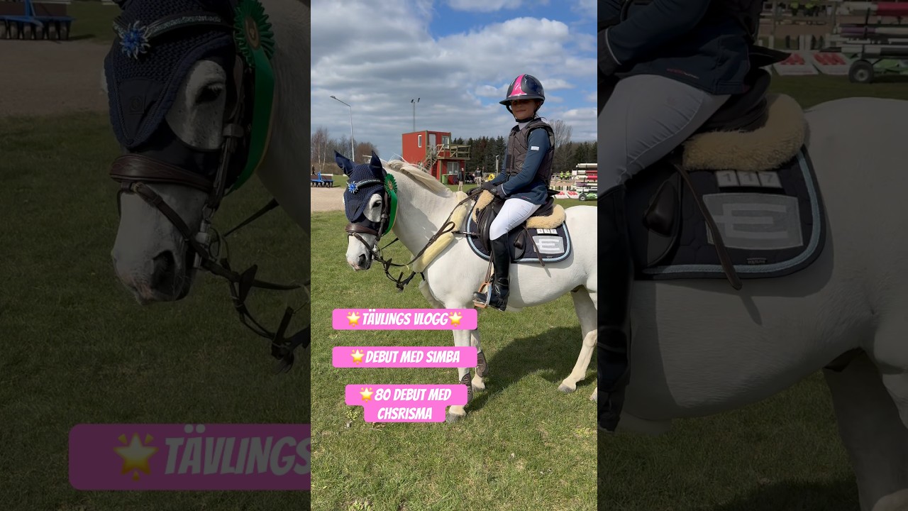 WOW VILKEN DEBUT 🤩😱 #horse #rider #equestrian #showjumper #showjumping #horses #vlogging