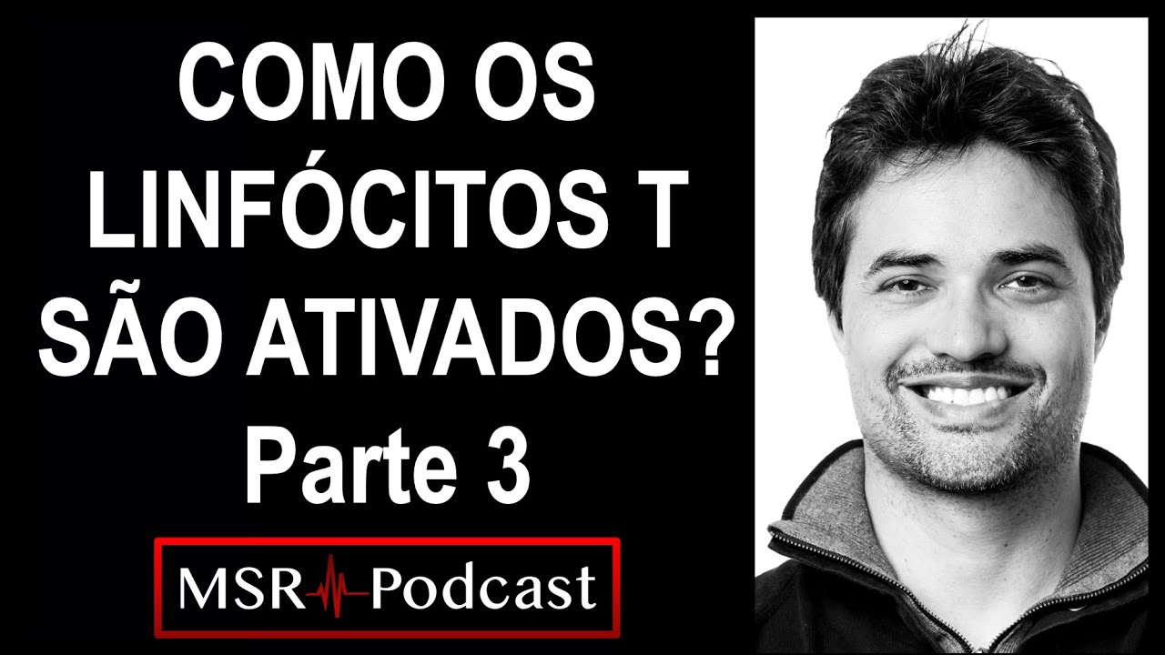 ⚔️🛡️COMO OS LINFÓCITOS T SÃO ATIVADOS? Aula 23: P3 