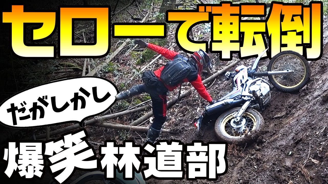 【セローで巨大倒木を超える】劇団林道部でいくクッソ楽しい林道部ツーリング #OGAチャンネル セローでいく林道ツーリング　オフロード　エンデューロ　丸太の超え方