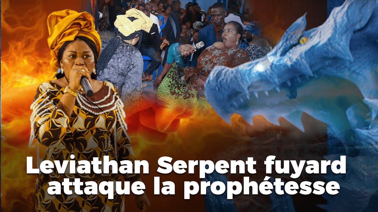 SERPENT ANCIEN VS AUTO AUTO