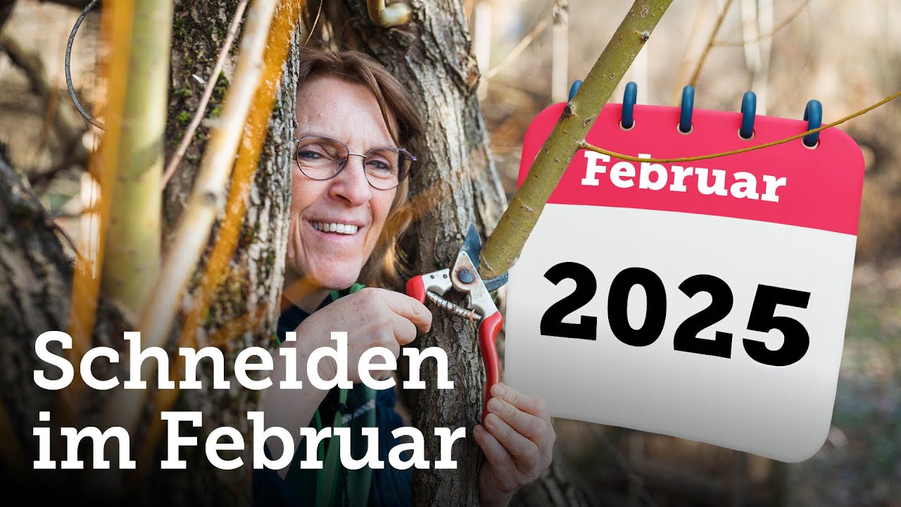 Gartenarbeit im Februar: Schnittmaßnahmen leicht gemacht! 🌲🪵