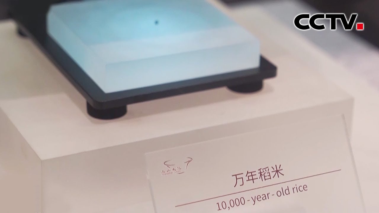 【文化中国行】万年上山 世界稻源 | CCTV「联播快讯」