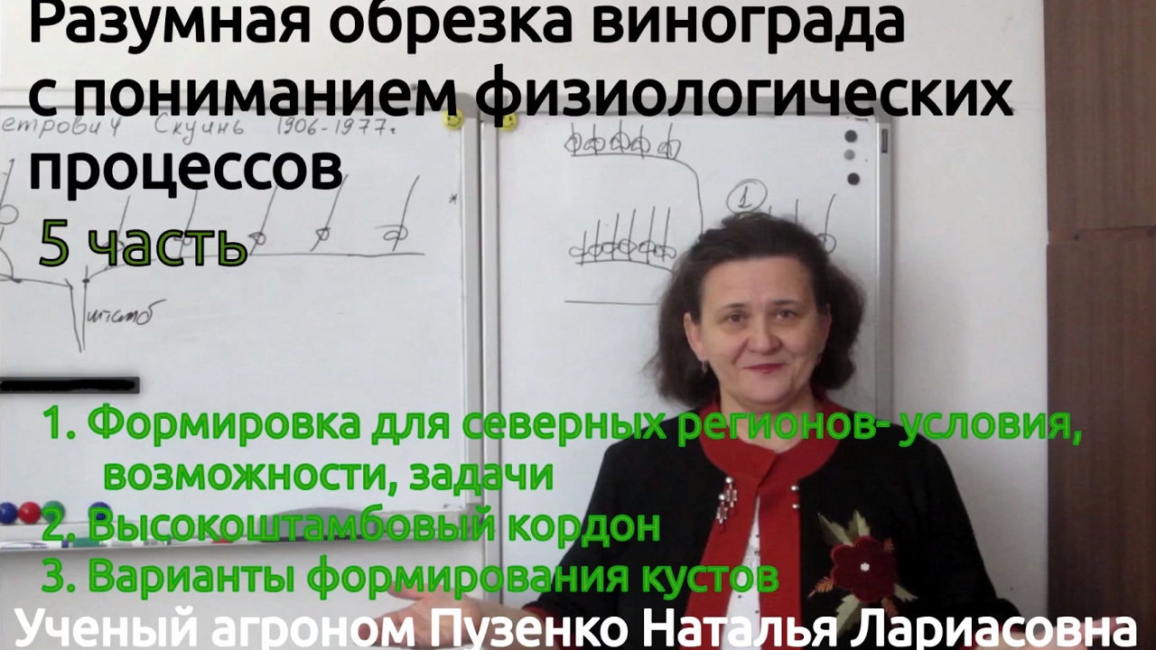 5 фильм 