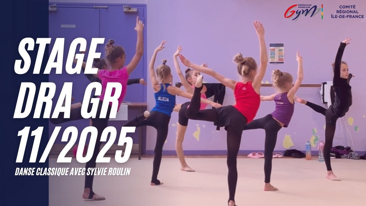 Stage Ruche & DRA : des notions essentielles pour les clubs de gymnastique rythmique