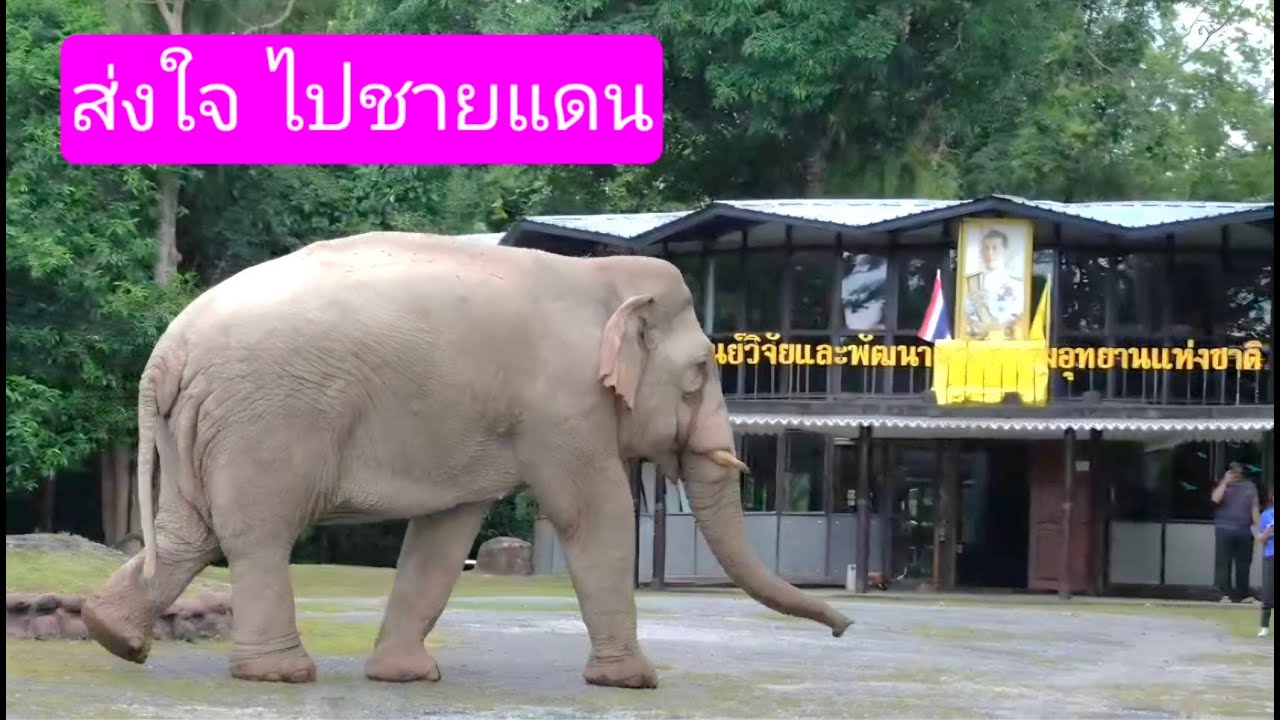 ข่าวด่วน !!! ข่าวใหญ่ พี่เดี่ยวมาส่งใจช่วยพี่ทหาร