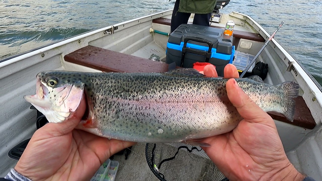 Rainbow trout fishing❗️❗️❗️Pescuit la pastrav pe lac❗️❗️❗️
