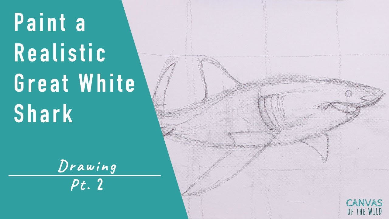 Paint a Realistic Great White Shark in Acrylic - Pt. 2