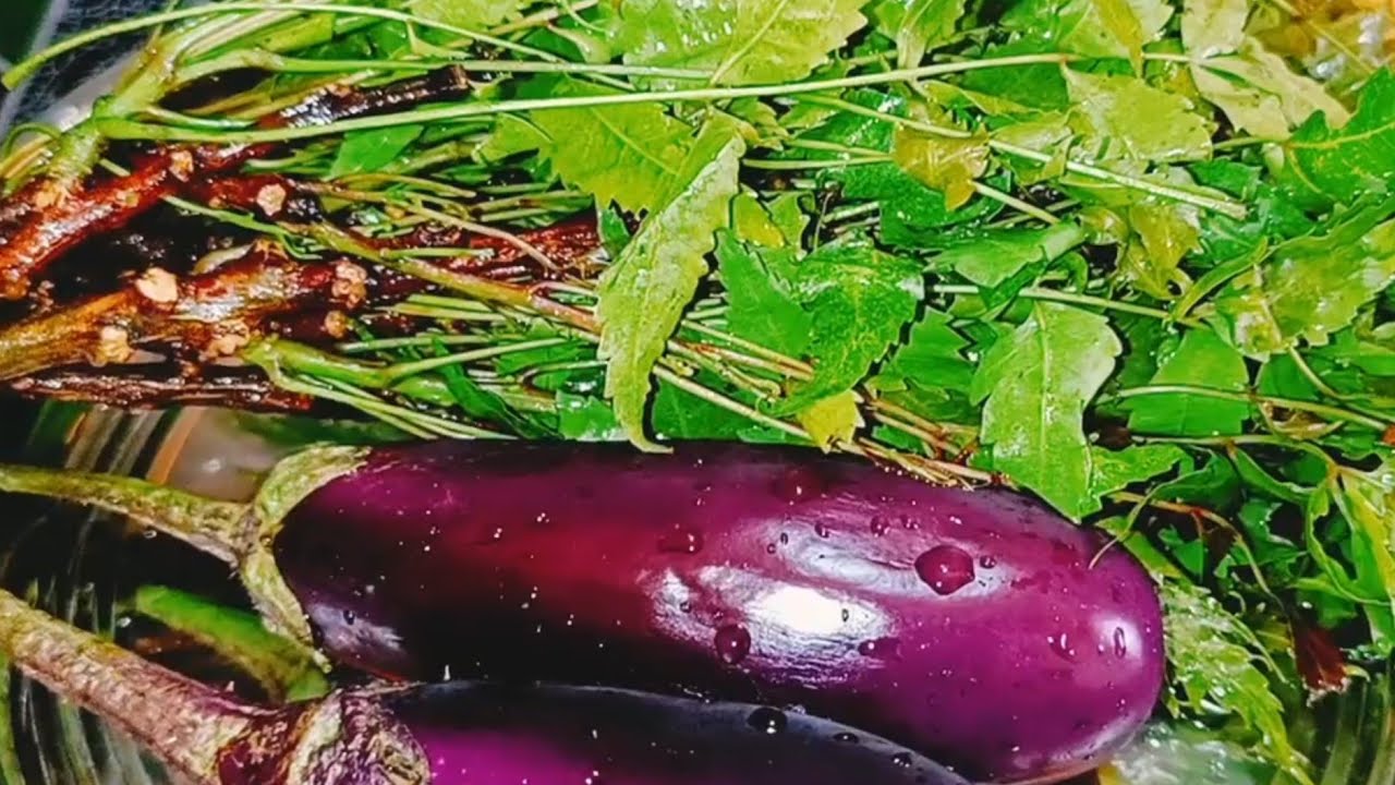 Neem Begun | Brinjal and Neem Leaves fry | Bengali Traditional Recipe |