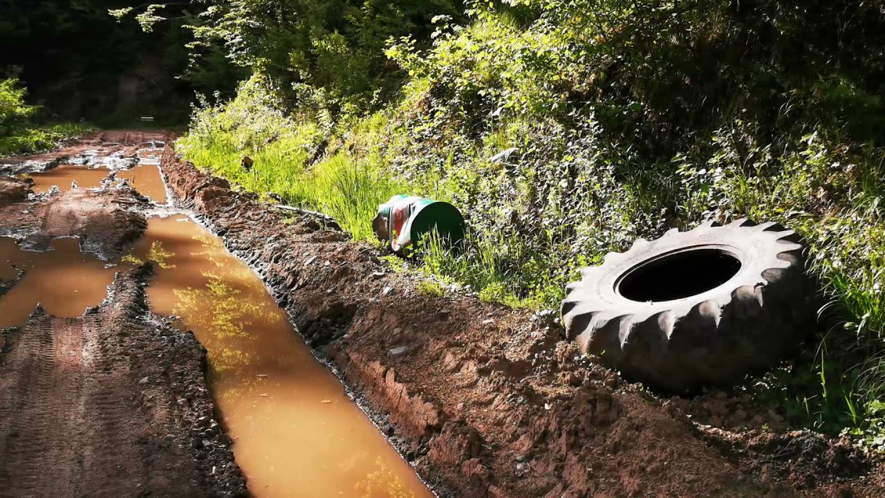 Drumul Marmurei prin pădure spre Rusca, din lunca Cernei