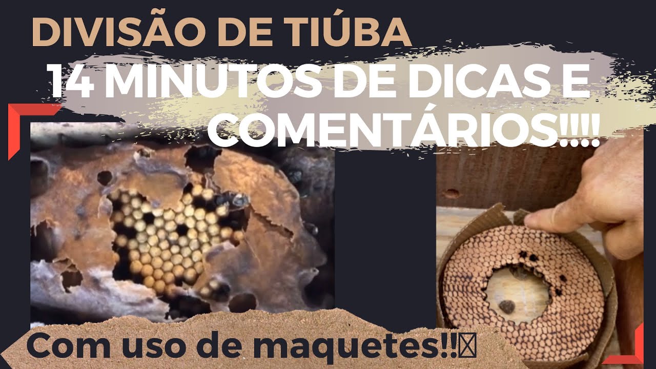 Divisão de tiúba!! 14 minutos com todas as dicas e comentários!! Não faça divisão sem antes ver!😳