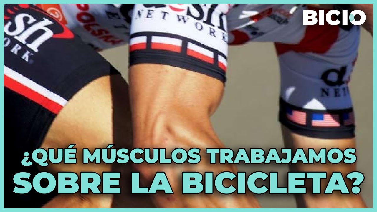 ¿Qué MÚSCULOS se trabajan EN LA BICICLETA?