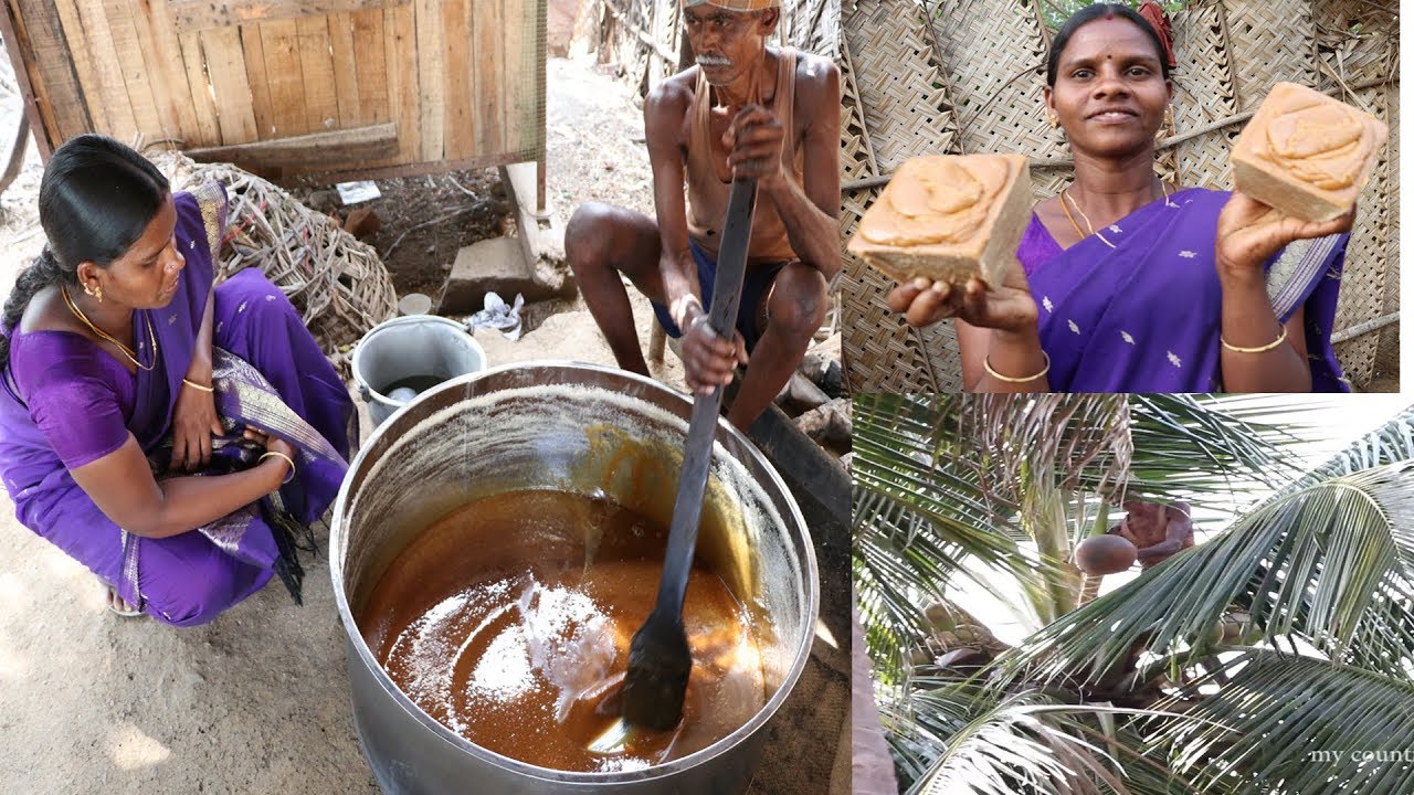 How to Make Organic Coconut Palm Sugar (Jaggery ) சுவை மிகுந்த தென்னம் கருப்பட்டி தயாரிக்கும் முறை