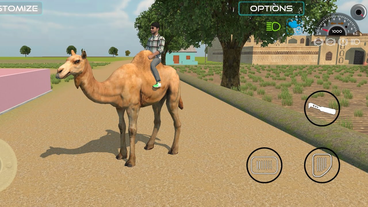 🐪 Camal Indian Vehicle simulator 3D game 🎯 