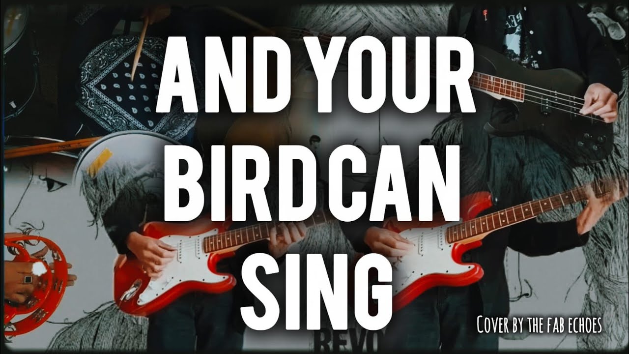 And Your Bird Can Sing COVER(The Beatles) 