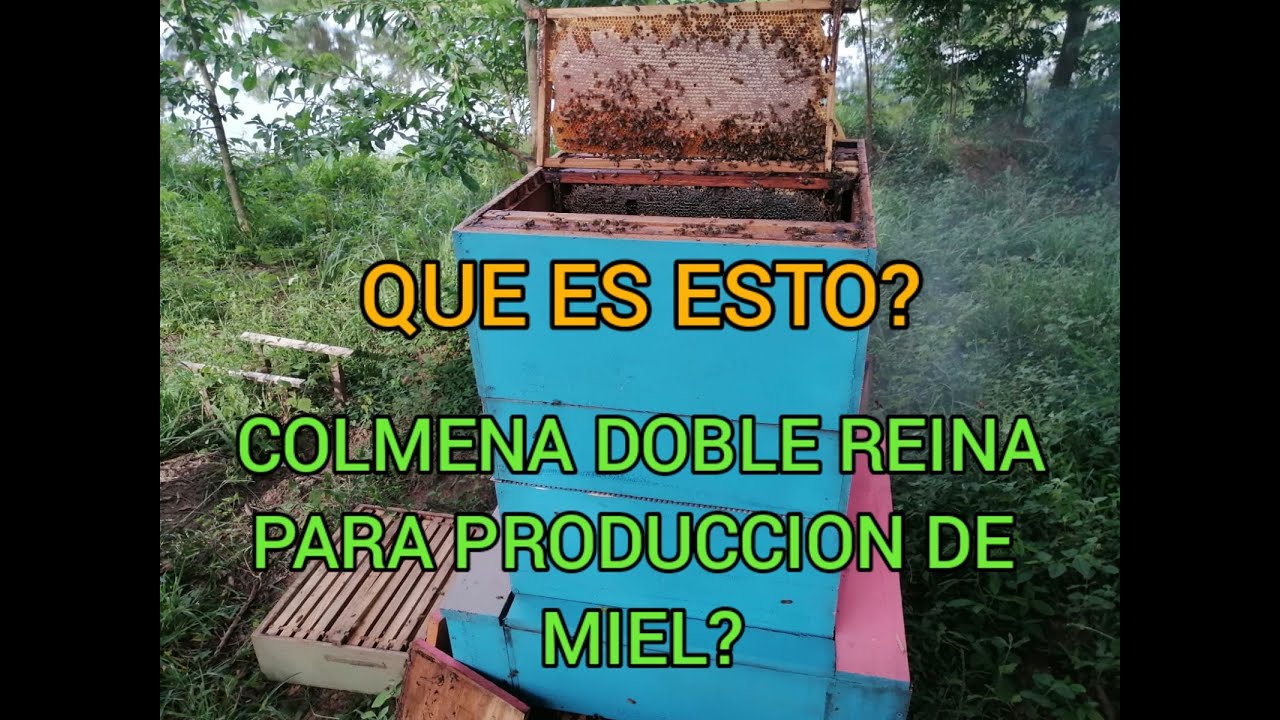 COLMENA DOBLE REINA PARA PRODUCCIÓN DE MIEL, PROTOTIPO DESARROLLADO EN AGROINDUSTRIA LA MIEL