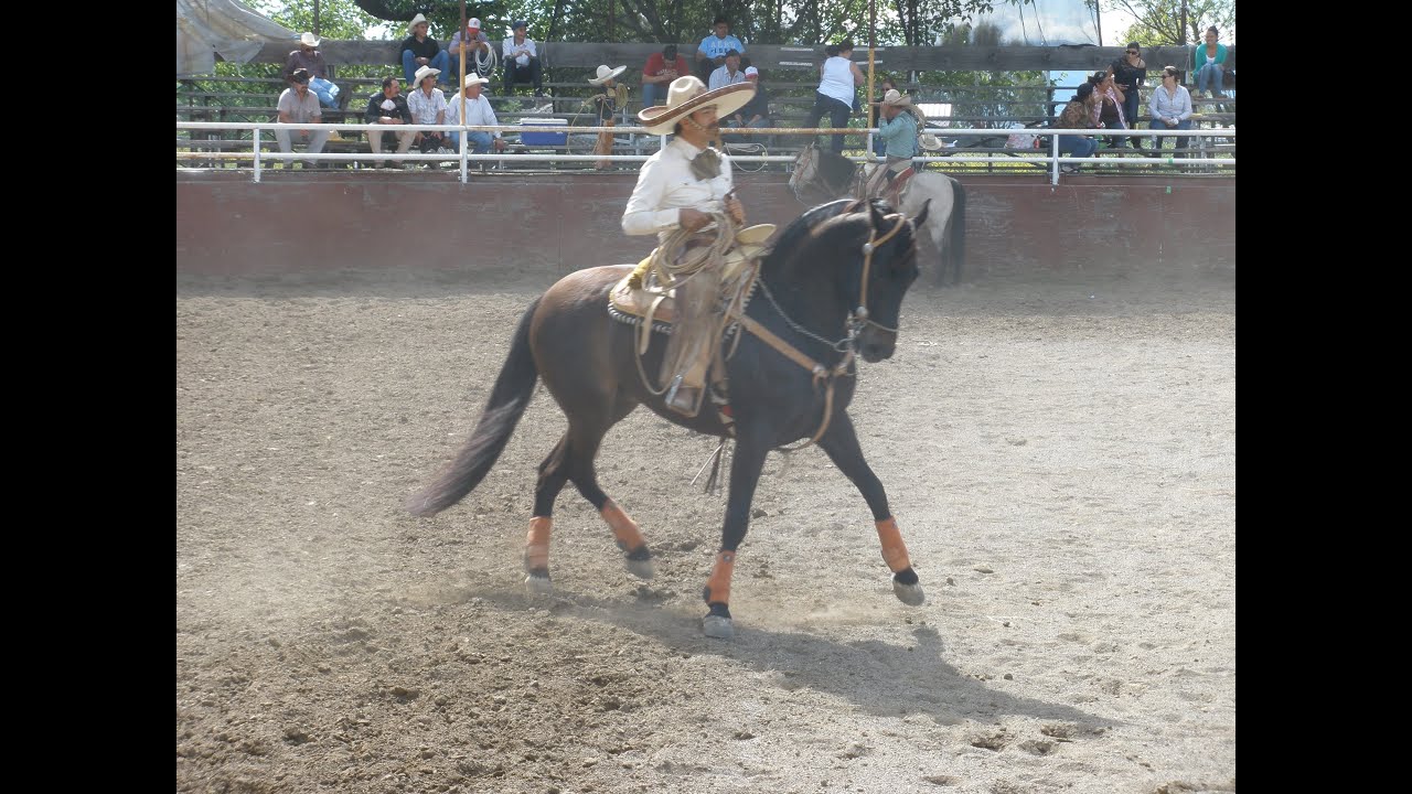 JOSE JIMENEZ CHARRO FURY 5