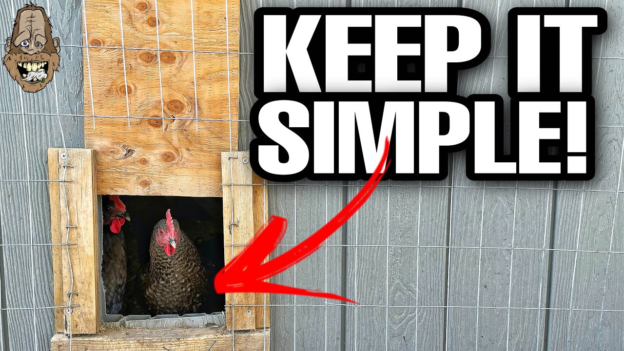 CHEAP And EASY DIY Sliding Chicken Door!